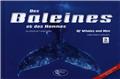 DES BALEINES ET DES HOMMES + 1 DVD DES BALEINES ET DES HOMMES + 1 DVD