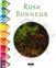 ROSA BONHEUR : UN JOLI LIVRE DE COLORIAGE