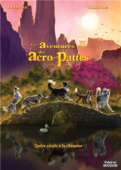 LES AVENTURES DES ACRO-PATTES 1 : QUÊTE VIRALE À LA CHINOISE